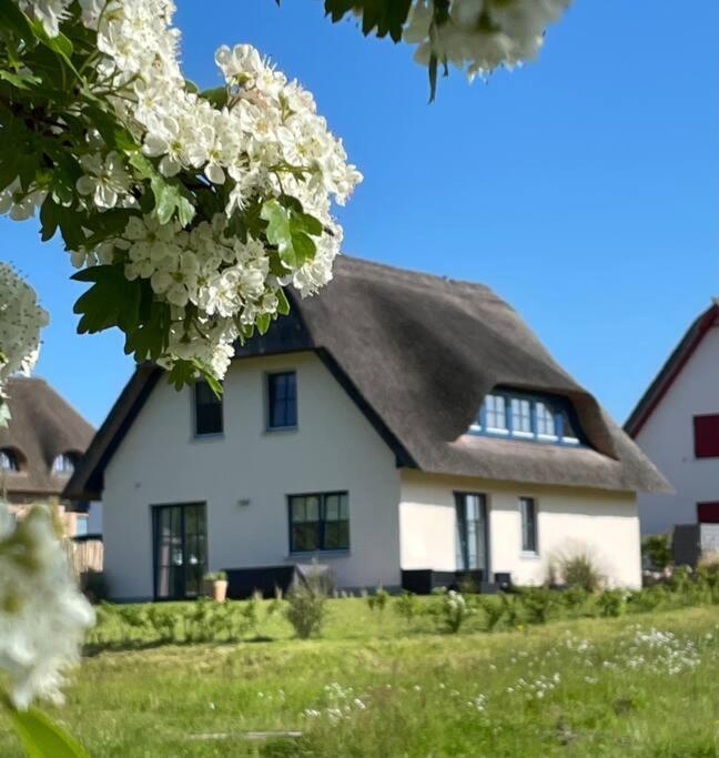 Stilvolles Reetdachhaus Coastline An Der Ostsee Gross Schwansee Luaran gambar