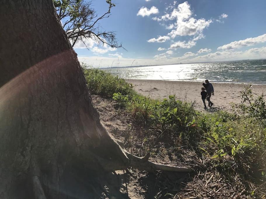Stilvolles Reetdachhaus Coastline An Der Ostsee Gross Schwansee Luaran gambar